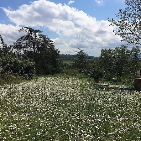Lägenhet Fewo Mit Fernsicht _ Sauna Herbolzheim
